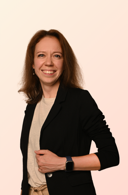 Vlada